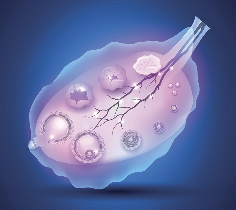 南京做三代试管的私人机构最新排行榜！南京做第三代试管多少钱？